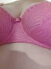 Amica