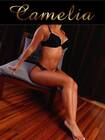 Camélia