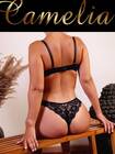 Camélia