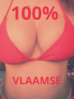 VLAAMSE DAME