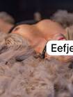 EEFJE