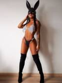 perlita