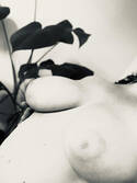Silke