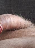 Beeckske
