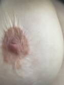 Mollie