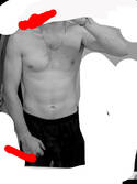 Roel