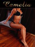 Camélia