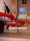 SofiaTS in Ghent dampoort