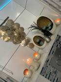 Maison Exhale Hasselt.prive park