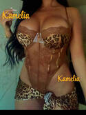 Kamelia Marokkaans