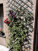 GOEDKOOPSTE