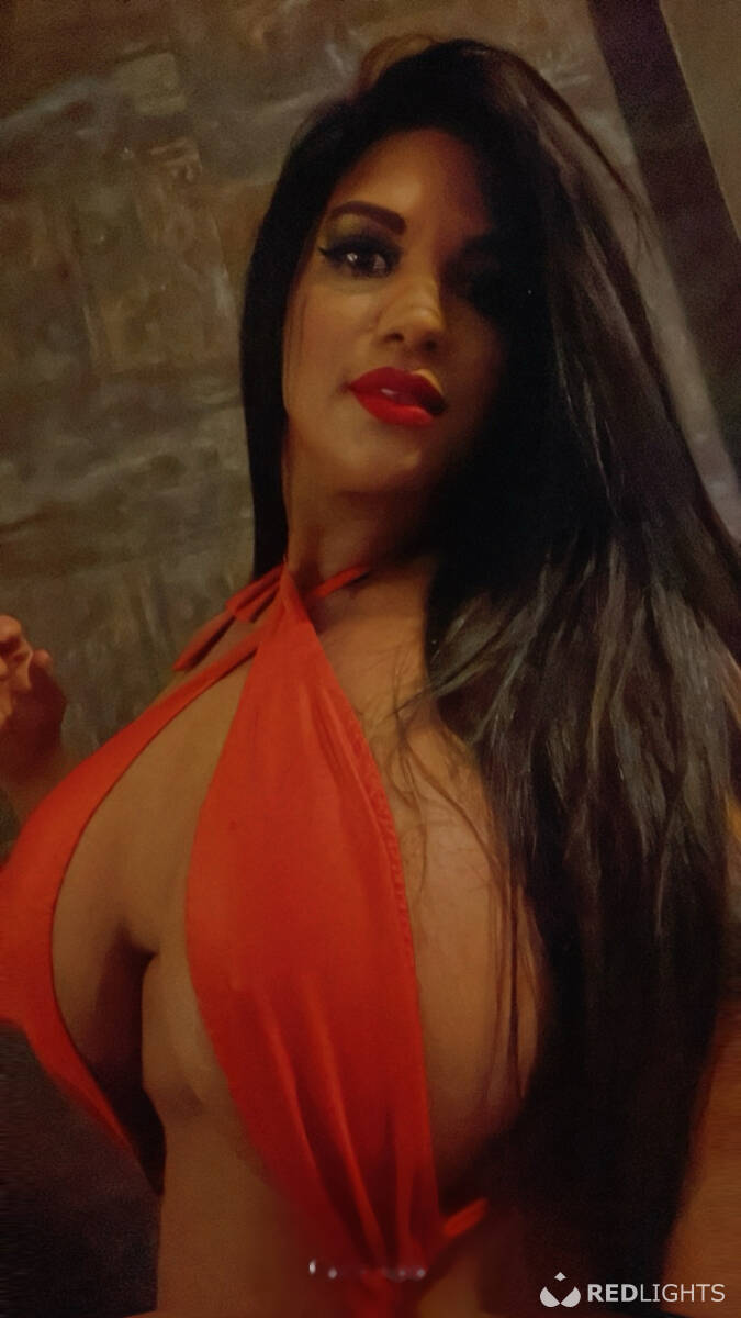 www.redlights.be