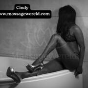 Massagewereld Antwerpen (Foto #13)