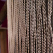 Yosh Paradoxe (Foto #16)