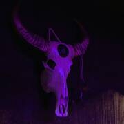 Scarlet Club (Foto #18)