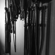 Scarlet Club (Foto #7)