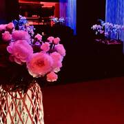 Girls Wanted ! (Foto #33)