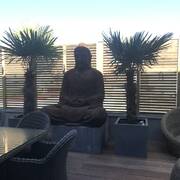 Orchidée (Foto #19)