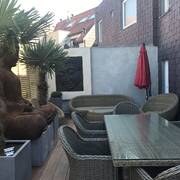 Orchidée (Foto #18)