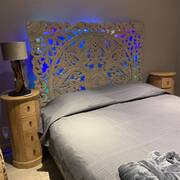 Orchidée (Foto #16)