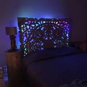 Orchidée (Foto #13)