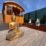 Curry 100 % NED_M_Vr & Koppels