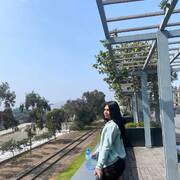 Flavia trans (Foto #32)