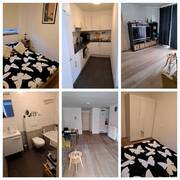 Zeebrugge  rent