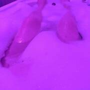 Beezeke  bellen voor afspraak