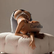 Camélia