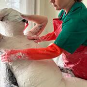 Mistress Henriette (Foto #5)