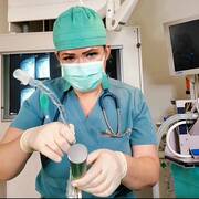 Meesteres Katharina (Foto #4)