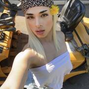 Greisy
