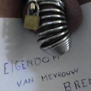 Godin Brenda