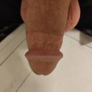 Zeussx