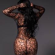 Sofia latina (Foto #4)