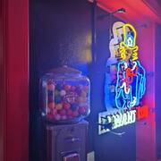 DIEST VRIJE TOEGANG (Foto #20)