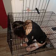 Dominatrice Morgane (Foto #32)