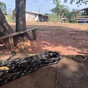 Le voisin pervers est de retour (Foto #10)