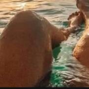 Le voisin pervers est de retour (Foto #37)