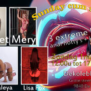 Dekoleblomme (Foto #8)