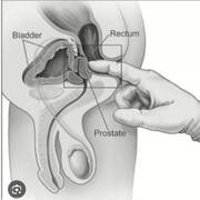 Massothrapeute  Carla (Foto #3)