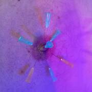 Bar donjon bdsm (Foto #39)