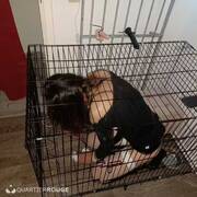 Bar donjon bdsm (Foto #14)