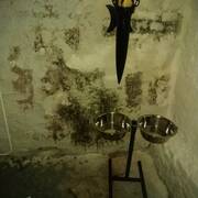 Madame-jeanette (Foto #6)