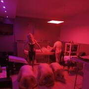 Maitresse Morgane en virtuel (Foto #21)