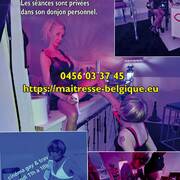 Tgirls Party dans gloriole (Foto #14)