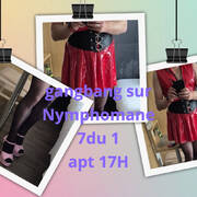 Tgirls Party dans gloriole (Foto #11)