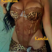 Kamelia
