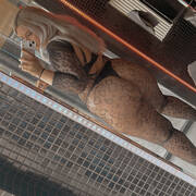 Karina party (Foto #2)